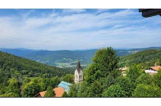 Wohnung kaufen in Am Sturmriegel, 94572 Schöfweg, Renoviertes 1 Zi. Apartment mit traumhaftem Ausblick