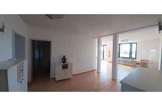 Wohnung mieten in 68199 Neckarau, Exklusive Dachterrassen-Wohnung