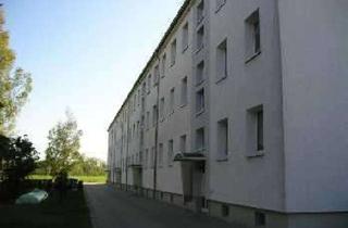 Wohnung mieten in Leipziger Straße 18d, 04509 Zwochau, 3-Raum-Wohnung in Zwochau