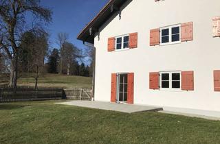 Wohnung mieten in Wadlhausen, 82057 Icking, *4 Zimmer * Küche mit EBK * Bad mit Wanne * sep. WC * Garten