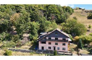 Wohnung kaufen in 35239 Steffenberg, Großzügige Eigentumswohnung mit 2 Einheiten – ideal für Familien & Kapitalanleger