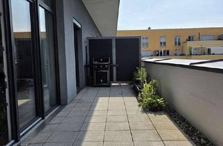 Penthouse mieten in 63743 Aschaffenburg, Lichtdurchflutete Penthouse-Wohnung mit großer Dachterrasse am Rosensee in Schweinheim