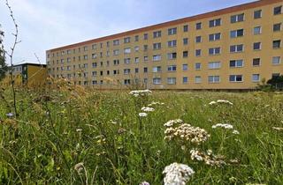 Wohnung mieten in Straße Der Jugend, 06792 Sandersdorf, Neu renovierte 3-Raumwohnung mit Balkon