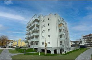 Wohnung mieten in Heidelberger Straße 71 A, 64584 Biebesheim, Neuwertige 2 Zimmer Wohnung in Biebesheim