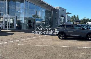 Büro zu mieten in 77855 Achern, Zentrale Werkstatt inkl. Hebebühnen, Lagerfläche sowie moderner und möblierter Annahmefläche/ 670 m²