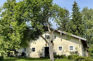 Bauernhaus kaufen in 94139 Breitenberg, Autark leben: Renoviertes Bauernhaus in Alleinlage und schönem Ausblick