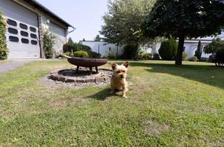Haus kaufen in 31603 Diepenau, Platz für Familie, Hobby und Beruf – Ein-/Zweifamilienhaus mit großer Garage und Halle
