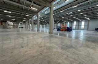 Büro zu mieten in 63791 Karlstein, JETZT ANRUFEN | ca. 3.500 m² Lager-/ Logistikfläche + Büro | ebenerdig