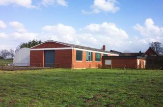 Büro zu mieten in 49811 Lingen, Halle mit Büro in Lingen/Estringen