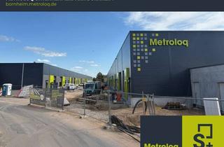 Gewerbeimmobilie mieten in Rosental, 53332 Bornheim, Neubau-Lagerhalle // 50 % der Flächen bereits vermietet - sichern Sie sich jetzt Ihre Wunschfläche!