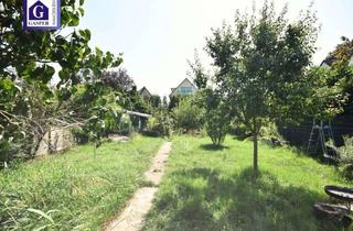 Grundstück zu kaufen in 65479 Raunheim, Baugrundstück für 1-Familienhaus oder 2 Doppelhaushälften