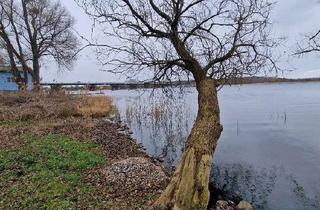 Grundstück zu kaufen in Havelweg 16a, 14542 Werder (Havel), Naturnaher Rückzugsort mit Bungalow. Grundstück am See zur Erholung - kein Bauland
