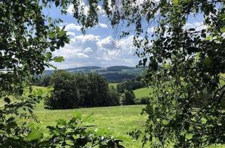 Grundstück zu kaufen in 07973 Greiz, 5.892 m² unverbauter Blick in Greiz - Obergrochlitz