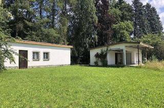 Grundstück zu kaufen in 07973 Greiz, 5.892 m² unverbauter Blick in Greiz - Obergrochlitz