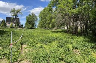 Grundstück zu kaufen in 01623 Lommatzsch, Großes Baugrundstück.