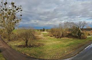 Grundstück zu kaufen in 17291 Nordwestuckermark, Traumgrundstück in Weggun – Vielfalt und Potenzial in idyllischer Lage