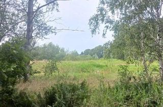 Grundstück zu kaufen in 01328 Gönnsdorf/Pappritz, Baugrundstück für Bauträger in grüner Lage Dresdens