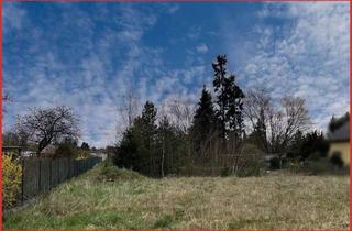 Grundstück zu kaufen in 03253 Doberlug-Kirchhain, Bauherren aufgepasst