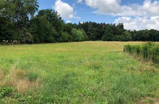 Grundstück zu kaufen in 75378 Bad Liebenzell, Voll erschlossener Bauplatz inkl. privatem Wald- & Wiesenstück in idyllischer Lage, provisionsfrei