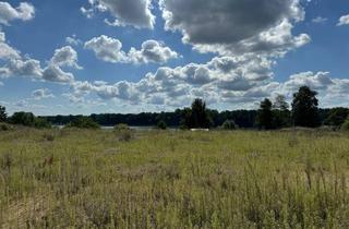 Grundstück zu kaufen in 17268 Templin, Mit direktem Zugang zum See - bauträgerfreies Grundstück