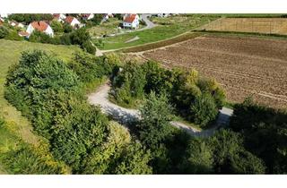 Grundstück zu kaufen in 85283 Wolnzach, Großzügiges Grundstück am Ortsrand – interessante Perspektive für die Zukunft