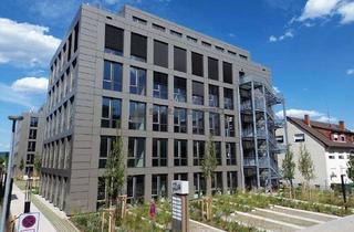 Gewerbeimmobilie mieten in 69190 Walldorf, The Hub – Wo moderne Architektur auf unternehmerische Vision trifft