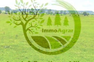 Gewerbeimmobilie kaufen in 86871 Rammingen, Verkaufe 1,63 ha Grünland in 86871 Unterrammingen (MN)