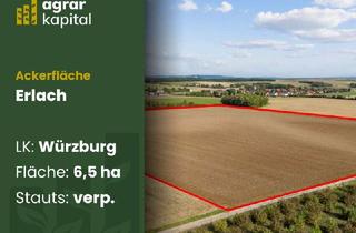Gewerbeimmobilie kaufen in 97199 Ochsenfurt, Ackerland mit Klarheit – 6,5 ha arrondierte Fläche bei Ochsenfurt-Erlach