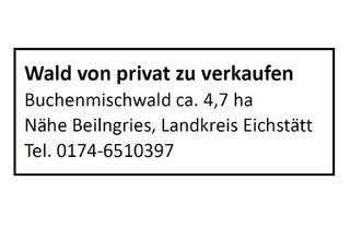 Immobilie kaufen in 92339 Beilngries, Wald von privat zu verkaufen