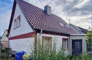 Einfamilienhaus kaufen in 39249 Tornitz, Tornitz OT Werkleitz - Einfamilienhaus mit Saaleblick