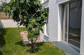 Wohnung kaufen in 74385 Pleidelsheim, Komfortable und barrierefreie Neubauwohnung für alle Lebenslagen