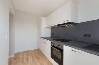 Wohnung mieten in Johann-Fehrs-Weg, 21502 Geesthacht, Erstbezug nach hochwertiger Sanierung im Dachgeschoss 2-Zimmer, Einbauküche und Duschbad mit Fenster