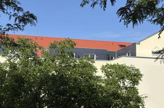Wohnung mieten in 76437 Rastatt, Maisonette Wohnung im Herzen von Rastatt