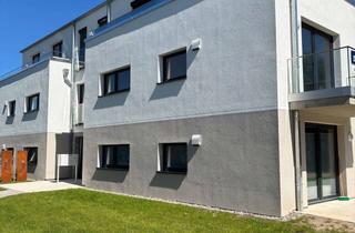 Wohnung mieten in 17489 Fettenvorstadt, Erstbezug: Attraktive Neubauwohnung in Greifswald – 2 Zimmer mit Terrasse und Grünfläche