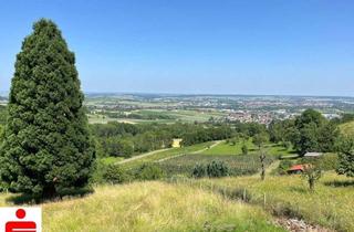 Haus kaufen in 74629 Pfedelbach, “Weitblick pur – Ein Ort wie kein anderer”