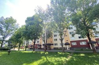 Wohnung mieten in Robert-Koch-Straße 28e, 09353 Oberlungwitz, Neu sanierte Single-Wohnung mit Aufzug !!!