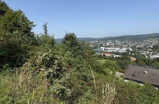 Grundstück zu kaufen in 64711 Erbach, Einzigartige Aussichtslage – Baugrundstück in gefragter Wohngegend
