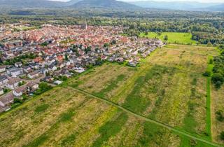 Grundstück zu kaufen in 76461 Muggensturm, Doppelhaus oder Einfamilienhaus? Hier findet Ihr Wohntraum einen Platz.