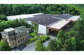 Gewerbeimmobilie mieten in 01809 Müglitztal, Gewerbeareal in verkehrsgünstiger Lage | ca. 650 m² Hallenfläche bei Dresden zur Miete