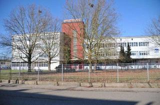 Büro zu mieten in 76870 Kandel, ++ Energetisch modernisierte Produktions-/Lager- & Büroflächen in Kandel - direkt am Bahnhof! ++