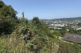 Grundstück zu kaufen in 64711 Erbach, Einzigartige Aussichtslage – Baugrundstück in gefragter Wohngegend