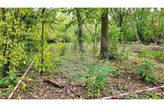 Grundstück zu kaufen in 14532 Kleinmachnow, Traumhaftes Baugrundstück in exklusiver Lage – Ihr neues Zuhause in Kleinmachnow