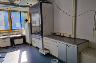 Büro zu mieten in 81379 Obersendling, Labor- und Büroräume in München-Sendling ab Januar 2026 zur Nachmiete