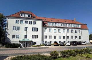 Gewerbeimmobilie kaufen in Friedensstraße 22 a, 38889 Blankenburg, Modernisiertes Praxis-, Büro- und Wohnhaus mit großem Nebengebäude in zentraler Lage