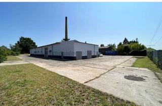 Gewerbeimmobilie mieten in 14974 Ludwigsfelde, 800 m² Stellplatz-Flächen, Lager,- Außenflächen und Parkplätze | Ludwigsfelde-Wietstock