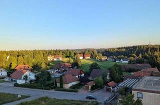 Wohnung mieten in 72250 Freudenstadt, Renovierte 2-Zi-Wohnung in Freudenstadt-Kniebis, ab 01.09.2025