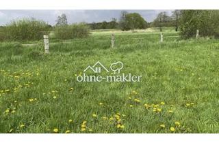 Immobilie mieten in 24594 Hohenwestedt, Grünland, naturbelassen - Heu, Weide, Rinder, Schafe, Ziegen, Hühner, Bienen, ca. 14.000 m², (VB)