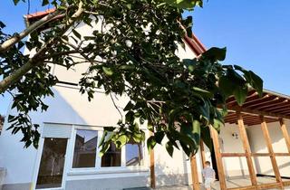Wohnung mieten in 64319 Pfungstadt, Exklusive 6-Zimmer-Wohnung mit großem Garten & zwei Terrassen – wie ein eigenes Haus