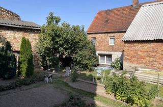 Einfamilienhaus kaufen in Wanslebener Str. 17, 06198 Höhnstedt, Solides Einfamilienhaus in 06198 Salzatal OT Höhnstedt