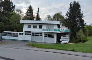 Haus kaufen in 72469 Meßstetten, Wohn- und Geschäftshaus / Karosseriebau / Autowerkstatt mit Option für genehmigten Garagenpark